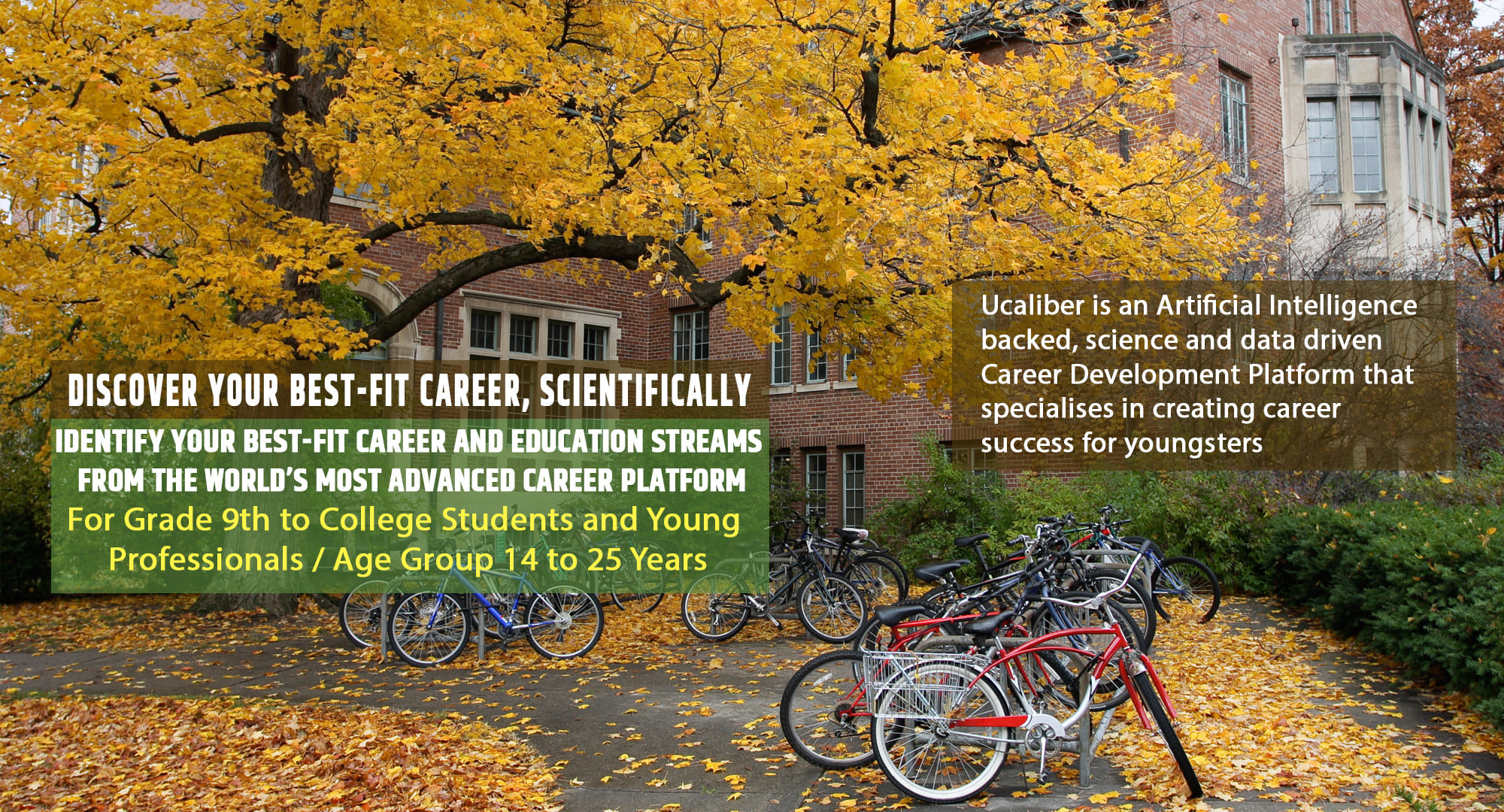 Career Guide, Career Guidance, Online Career Guide, Career Development Programs, Online career guidance, Online career counselors